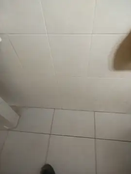 sagrado 1989 online show from 16, 2, 2026