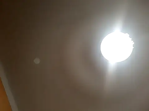 White rabbit  online show from 10, 9, 2025