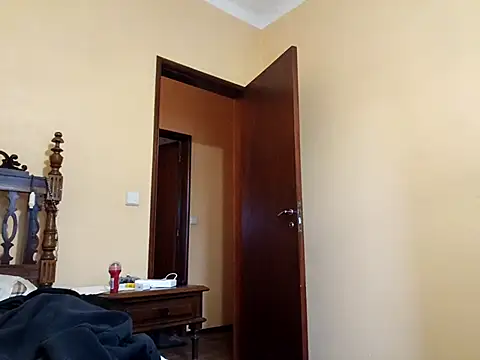 White rabbit  online show from 31, 10, 2025