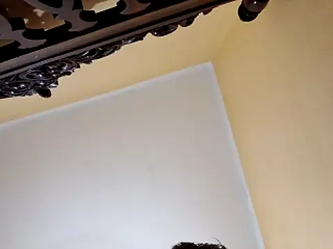 White rabbit  online show from 29, 10, 2025