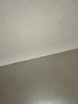 Ortegakim online show from 16, 11, 2025