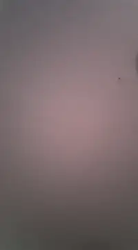 Maxmusterman20023 online show from 18, 1, 2025