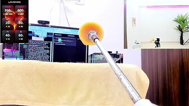 Paulina Davis  online show from 9, 11, 2025