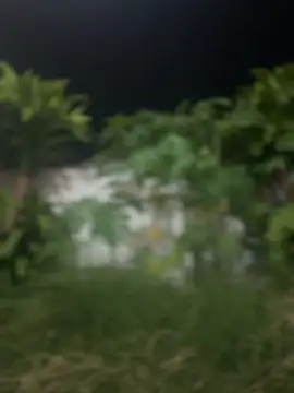 sahorix1 online show from 21, 3, 2026