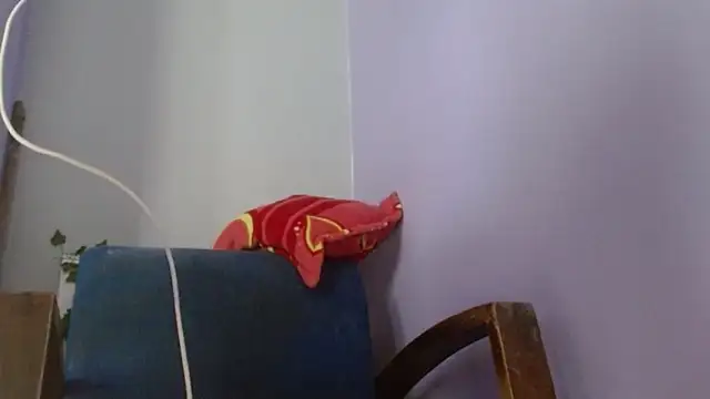 belindathompson online show from 22, 12, 2025