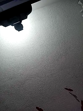 Deina bunny online show from 17, 2, 2025