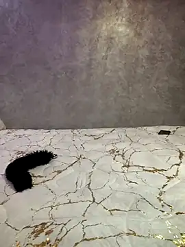 Snapshot of Charmoota_arab chatting on 11, 2, 2025 Charmoota arab online show from 11, 2, 2025