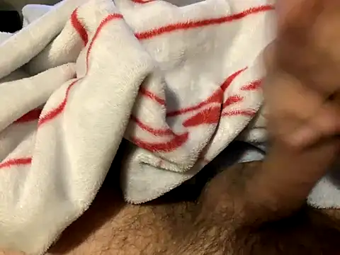 Snapshot of northcock87 chatting on 13, 11, 2025 northcock87 online show from 13, 11, 2025