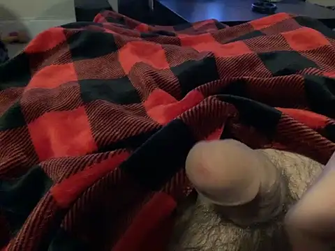 Snapshot of northcock87 chatting on 24, 12, 2024 northcock87 online show from 24, 12, 2024