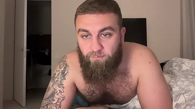 Bear bear  online show from 18, 11, 2025