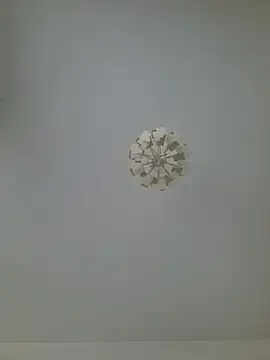 cuci45 online show from 20, 2, 2026