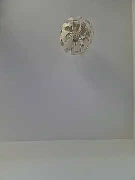 cuci45 online show from 1, 11, 2025