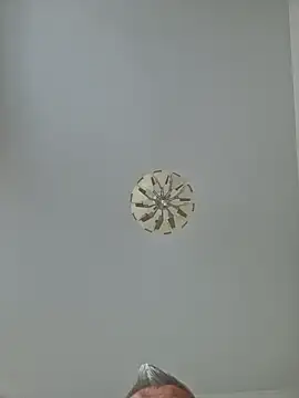 cuci45 online show from 3, 10, 2025