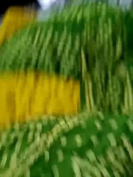 wrong man25 online show from 24, 2, 2025