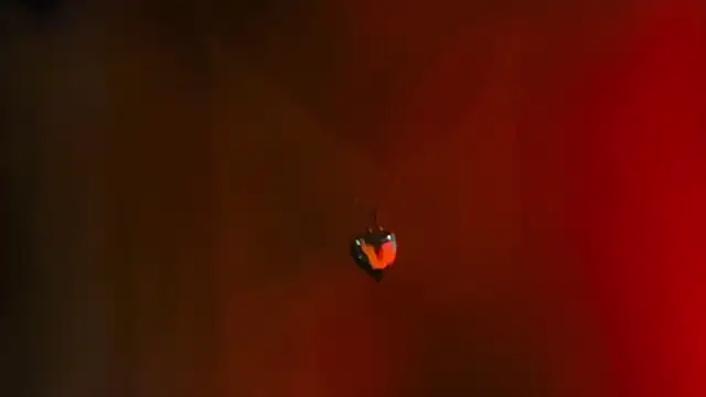 Snapshot of Youlittlepervertt_ chatting on 1, 3, 2026 Youlittlepervertt online show from 1, 3, 2026