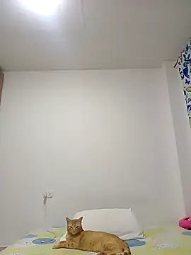 leah passion online show from 31, 1, 2026