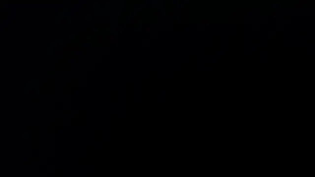 patty bersh online show from 27, 10, 2025