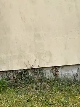 TalullaX online show from 19, 3, 2025