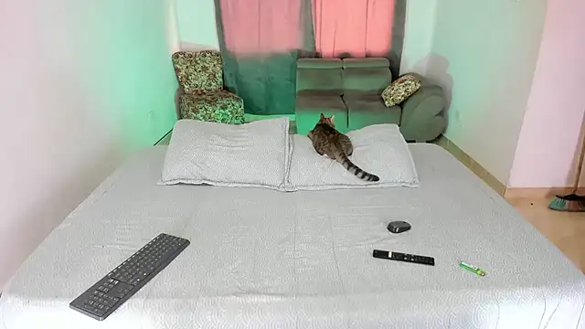 Fairycandyx online show from 12, 3, 2025