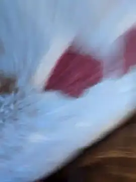 DauerGeilDaddy online show from 6, 3, 2025