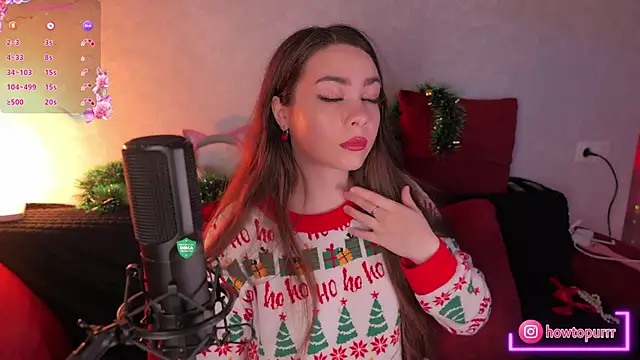 How2Meow online show from 29, 12, 2024