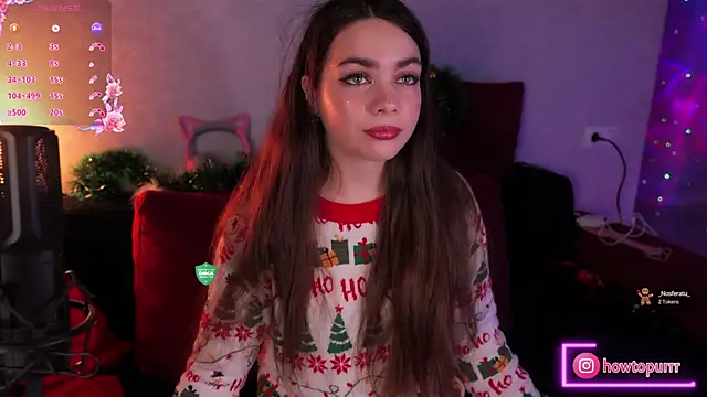 How2Meow online show from 30, 12, 2024