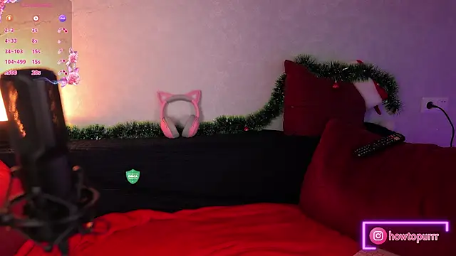 How2Meow online show from 12, 1, 2025