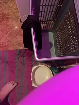 sissyboy-666- online show from 14, 1, 2026