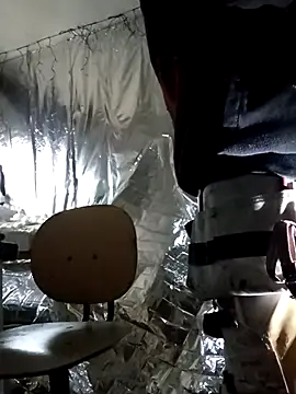 rexflexxx online show from 9, 11, 2025