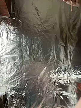 rexflexxx online show from 7, 3, 2025