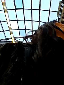 LeticiaWoods online show from 27, 11, 2025