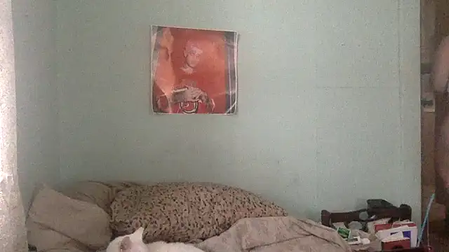 alexabunni online show from 17, 11, 2025