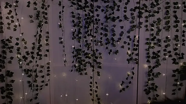 risha laas online show from 26, 9, 2025