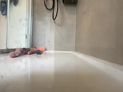 Snapshot of angelus112 chatting on 29, 3, 2026 angelus112 online show from 29, 3, 2026