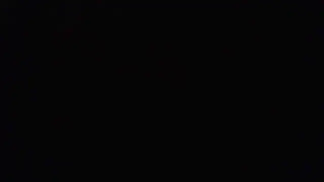 mrdago2 online show from 13, 12, 2025