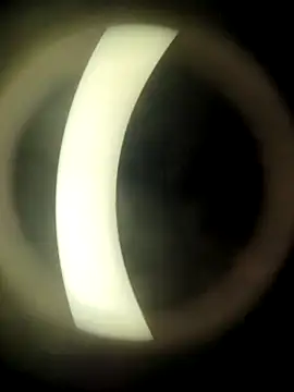 HotWifeNisha online show from 21, 12, 2024