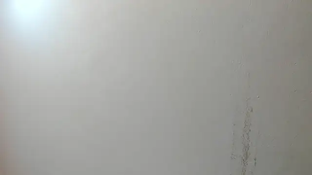 sarita loven online show from 17, 7, 2026