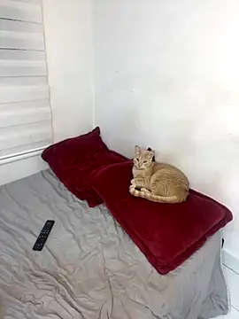 Liamiler01  online show from 10, 10, 2025