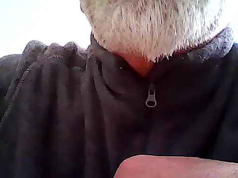 xcimeru online show from 12, 3, 2025