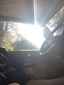 Themechanic420 online show from 5, 11, 2025