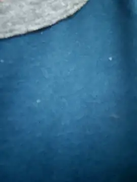 Bangalorebull online show from 17, 10, 2025