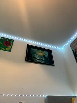 Toyjungee online show from 10, 9, 2025