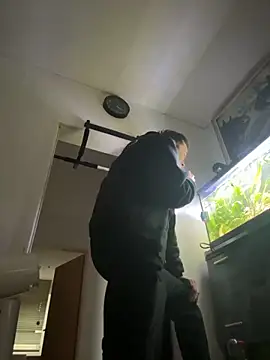 Toyjungee online show from 28, 10, 2025