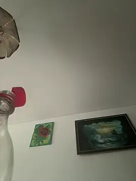 Toyjungee online show from 29, 9, 2025