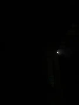 Toyjungee online show from 4, 10, 2025