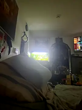 Toyjungee online show from 29, 11, 2025