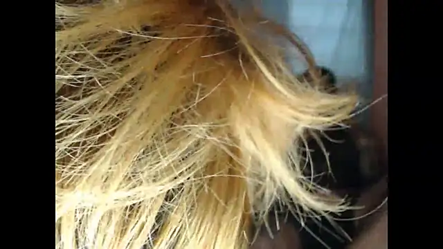 lover 1994 online show from 27, 3, 2026