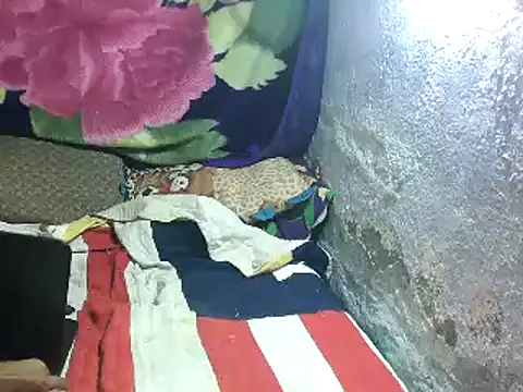 Rocobodymassager online show from 14, 3, 2026