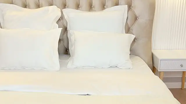 LilyRaisa online show from 15, 3, 2025