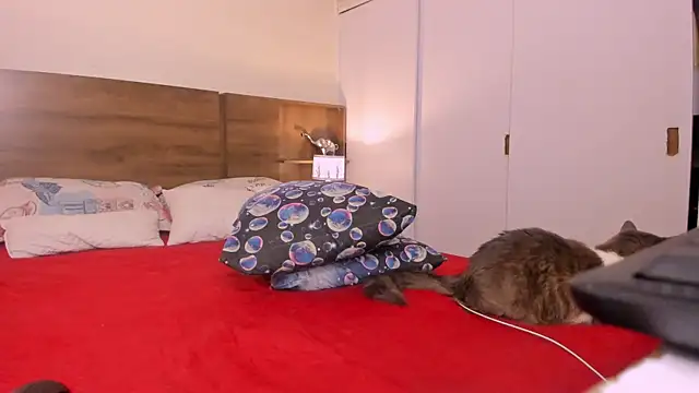 Snapshot of emily_adams01 chatting on 27, 2, 2025 emily adams01 online show from 27, 2, 2025